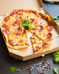 pizza cheese sausage salami assorted meat serving portion size natural top view place copy space for text