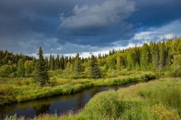 Fototapeta na wymiar A creek meanders through a small meadow along Petersville Road, west of Talkeetna, AK.