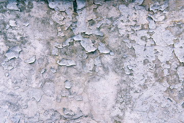 Texture of plaster on the wall. Gray background putty wall. destroyed wall background