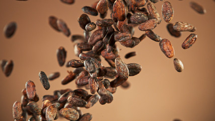 Cocoa beans flying in the air in freeze motion isolated on light brown background