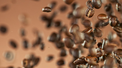 Fresh roasted coffee beans flying in the air, isolated on light brown background