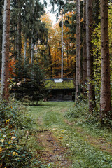 Hut in Autumn Forest