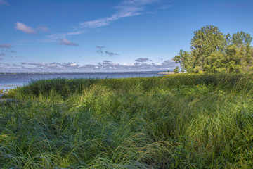Looking over tall grasses on beach toward wide blue lake with sailboats blue skies clouds nobody