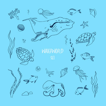 Water world doodle set. Sea life Vector hand-drawn illustrations. Fish, octopus, shell, whale, turtle, jellyfish, seaweed, etc.