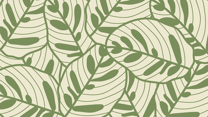 Leaf line art background vector, wallpaper and print, house plant, Vector illustration.