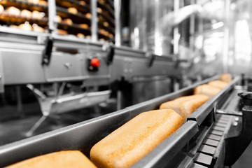 Automatic production line bakery Baked breads from hot oven