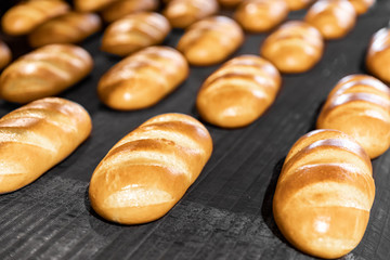 Fresh hot baked breads on automated production line bakery. Manufacture industrial