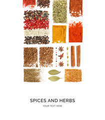 Creative layout made of spices, cardamon, chilli pepper, cinnamon, cumin, curry, coriander,...