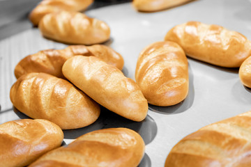 Automatic production line bakery Baked breads from hot oven