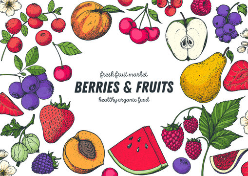 Berries and fruits drawing collection. Hand drawn berry. Vector illustration. Strawberry, apple, watermelon, blueberry, cranberry, raspberry, peach, cherry, pear, gooseberry illustration.