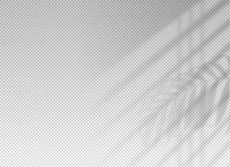 Shadow blinds. Light from window. Overlay effect. Shade jalousie transparent. Isolated background. Light on window blinds. Reflected shadow on wall. Realistic soft shade blind. Vertical mockup. Vector