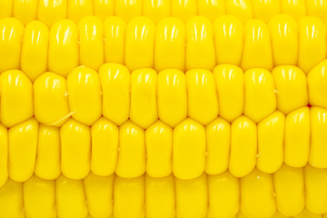 Yellow sweetcorn grain, top view