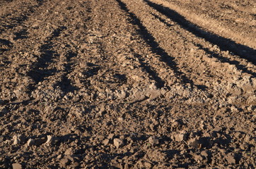 Plowed field