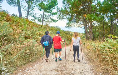 Fototapeta premium Family walking with backpacks and walking sticks along a path in the field full of trees