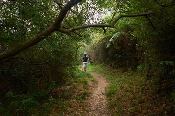 Obraz premium Child walking along a path with many trees and vegetation