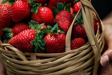 Girl holding basket with strawberries.