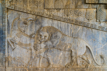 Iran, near Shiraz, the ruins of Persepolis the ancient capital of King Darius. At the Apadana eastern stairs, Bas relief of a lion attacking a bull. The lion bull combat.