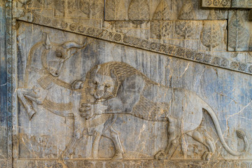 Iran, near Shiraz, the ruins of Persepolis the ancient capital of King Darius. At the Apadana eastern stairs, Bas relief of a lion attacking a bull. The lion bull combat.