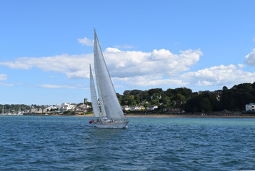 Obraz premium post lock down August