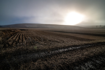 Obraz premium Palouse Fields with Fog in Winter, WA