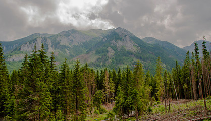 Obraz premium Hohe Tatra