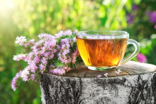 Mug of healthy herbal tea with hyssop medicinal herb outdoors.