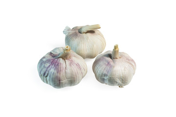 Garlic on a clear white background