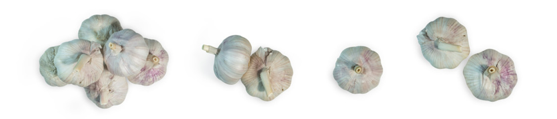 Garlic on a clear white background