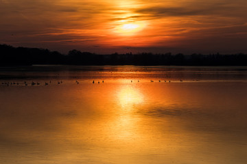 Nastrojowy romantyczny zachód słońca nad wodą-Piekny Zachód słońca nad stawem rybnym Dolina Baryczy