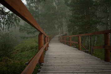 Fototapeta premium Fog in the forest. Morning in the park