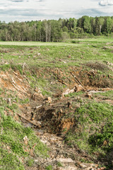 green field with a ravine and felled trees and shrubs, cleaning of unnecessary vegetation, logging
