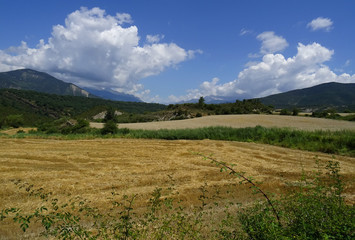 Fototapeta premium Summer landscape with wheat field and the Pyrenees Mountains in the rear from the village of Isún de Basa. Valley of the Aragón River. Spain. 
