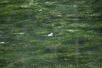 Parc de Tervuren