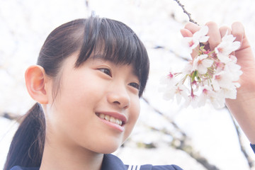 桜と女子中学生