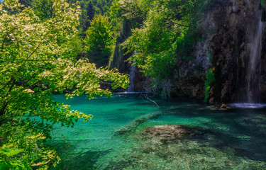 Fototapeta na wymiar The waterfalls and lakes at the Plitvice lakes. Croatia. Azure clean waters. National park.