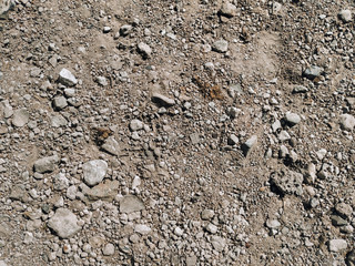 Soil and stones background top view.