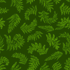 Naklejka na ściany i meble Forest Fern Hollow dark green