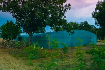 Fototapeta na wymiar Green shade net house with beautiful purple skies in the background