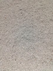 concrete wall texture