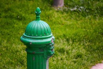 fire hydrant in grass