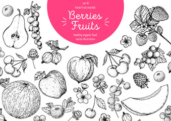 Berries and fruits drawing collection. Hand drawn berry sketch. Vector illustration. Blueberry, raspberry, strawberry, apple, lingonberry, peach, apricot, cranberry, slice of melon