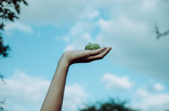 Young arm held towards the sky with clouds holding a green apple