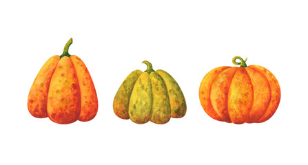 Autumn pumpkins are yellow, orange and green. Watercolor illustration isolated on a white background. A set of stock images with a crop of vegetables.