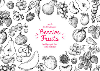 Berries and fruits drawing collection. Hand drawn berry sketch. Vector illustration.