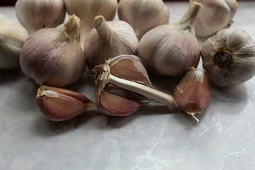 Several heads of ripe garlic and its cloves lie on a white background..