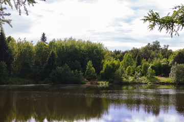 Прекрасный вид на озеро в лесу