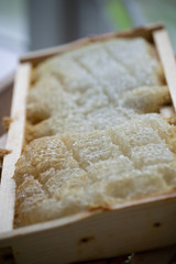 Extracted Honey Frame