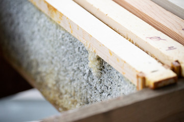 Extracted Honey Frames.