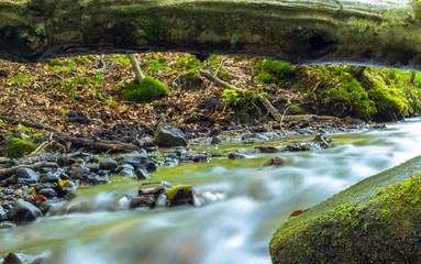 Natura... Woda.. Las...