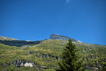 Landschaftsidylle in Zerfreila in der Schweiz 31.7.2020